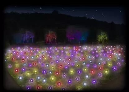 日饭店用太阳能LED打造“空中花园”，获吉尼斯纪录认证