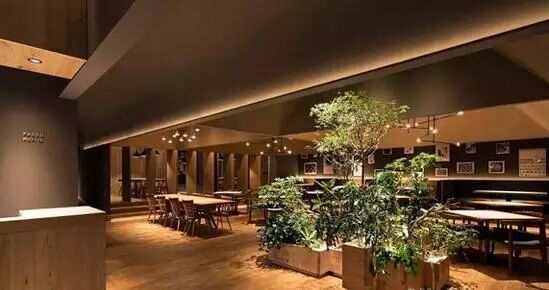 东京Passo Novita餐厅照明设计详解