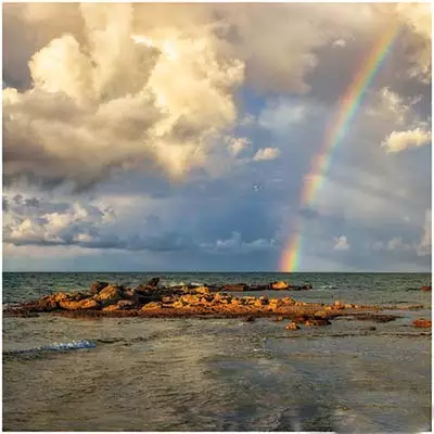 心+心+心+心+心+心+心+心=……，你知道吗？ 第4张