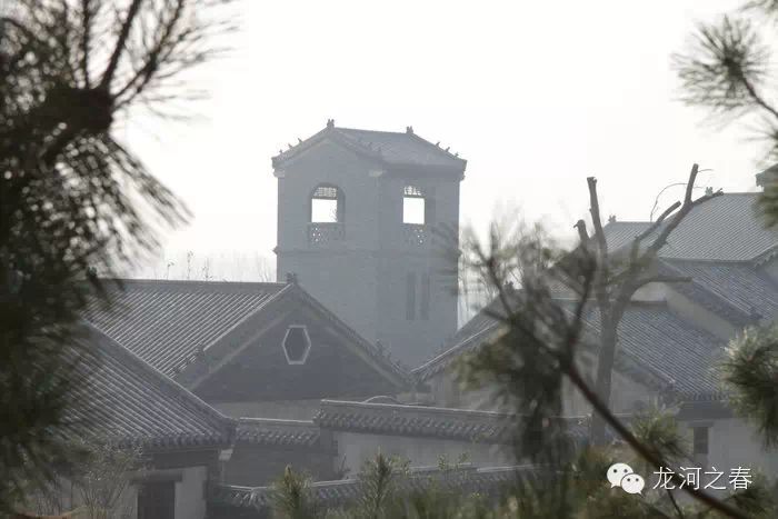 紅高粱：單家大院 戲劇 第13張