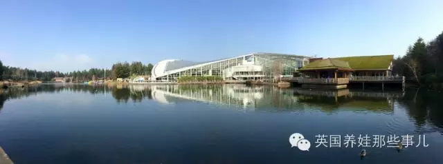 英国生活实用网站