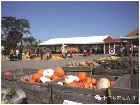 640 (1).webp (2).jpg