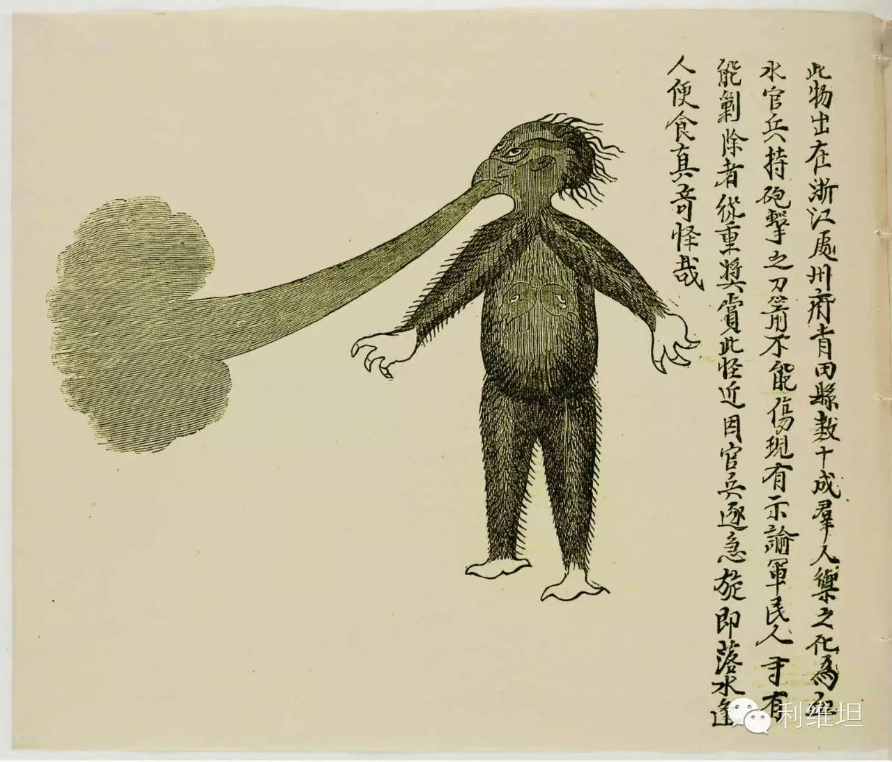 一部奇幻的海怪简史终于问世了