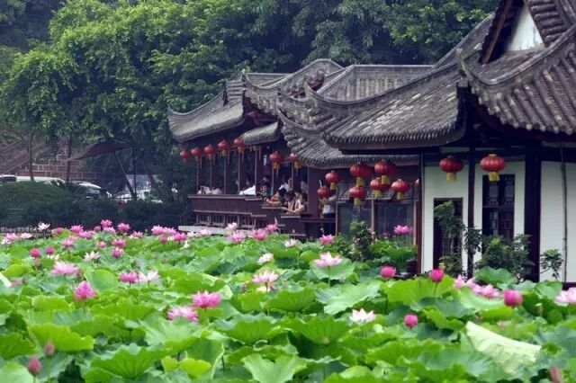 普法栏目剧莲花闹海堂全集_南岸区莲花堂_伦敦南岸艺术区