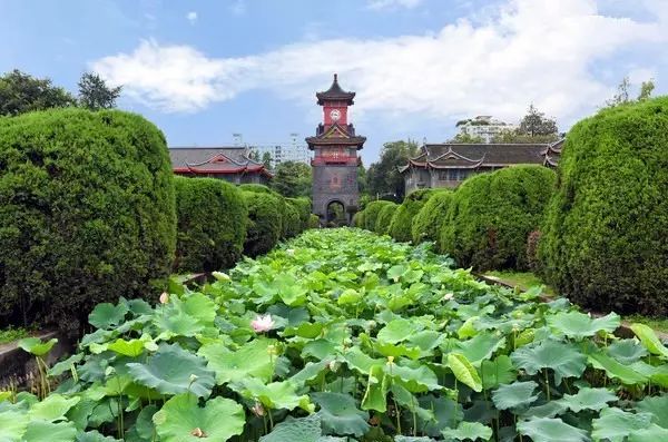 伦敦南岸艺术区_普法栏目剧莲花闹海堂全集_南岸区莲花堂