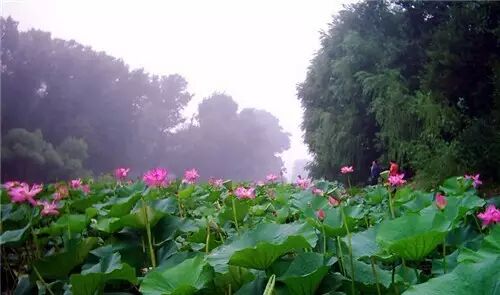南岸区莲花堂_伦敦南岸艺术区_普法栏目剧莲花闹海堂全集