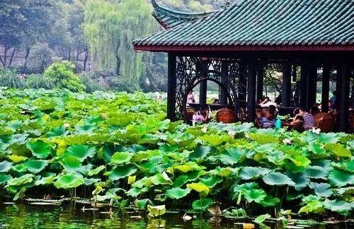 伦敦南岸艺术区_南岸区莲花堂_普法栏目剧莲花闹海堂全集
