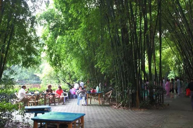 南岸区莲花堂_伦敦南岸艺术区_普法栏目剧莲花闹海堂全集