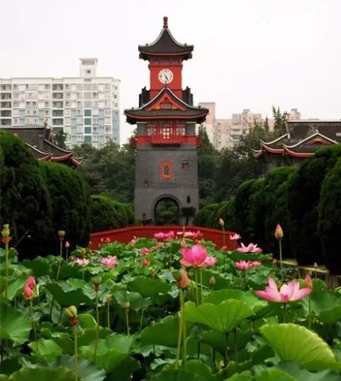 伦敦南岸艺术区_南岸区莲花堂_普法栏目剧莲花闹海堂全集