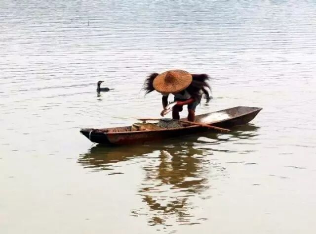 普法栏目剧莲花闹海堂全集_南岸区莲花堂_伦敦南岸艺术区