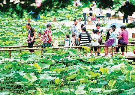 伦敦南岸艺术区_普法栏目剧莲花闹海堂全集_南岸区莲花堂
