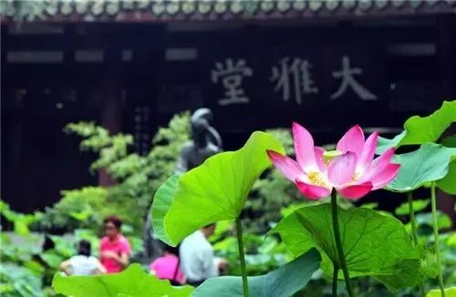 伦敦南岸艺术区_南岸区莲花堂_普法栏目剧莲花闹海堂全集