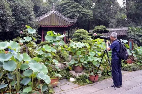 南岸区莲花堂_普法栏目剧莲花闹海堂全集_伦敦南岸艺术区