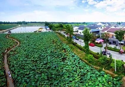 伦敦南岸艺术区_普法栏目剧莲花闹海堂全集_南岸区莲花堂