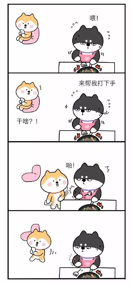 笨蛋柴犬兄弟的日常:你智障多年,我不离不弃