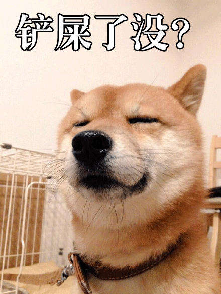 柴犬才是汪界表情包的鼻祖,哈士奇也得服!