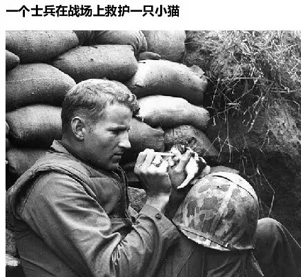 网友们上传的“人性的光辉” 系列故事，很温暖~248 / 作者:红通通 / 帖子ID:112368