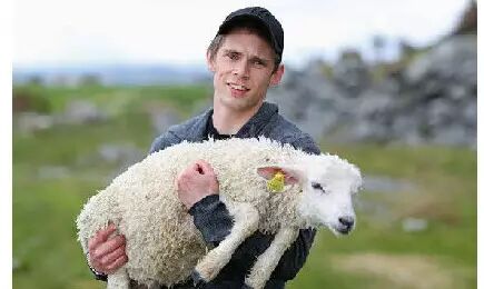 网友们上传的“人性的光辉” 系列故事，很温暖~40 / 作者:红通通 / 帖子ID:112368