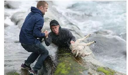 网友们上传的“人性的光辉” 系列故事，很温暖~379 / 作者:红通通 / 帖子ID:112368