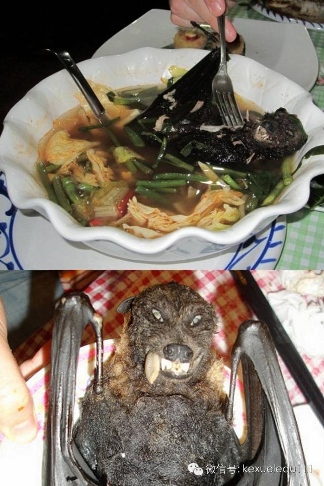 科学网—春节新“菜谱”（另类，慎入） 王皓的博文