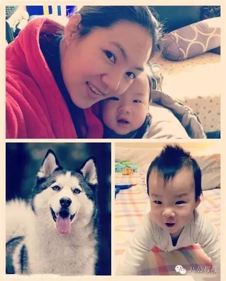 怀孕时养一只二哈,接下来的画面暖哭了~-怀孕期