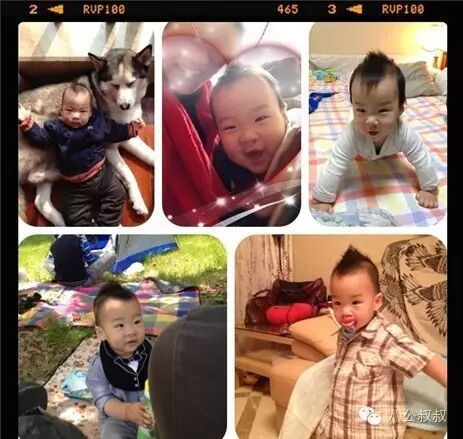 怀孕时养一只二哈,接下来的画面暖哭了~-怀孕期