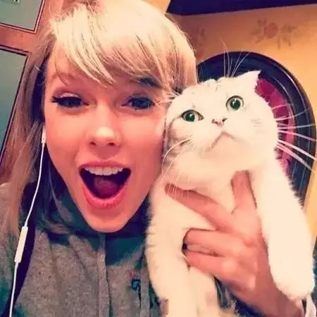 你家霉霉在这里 爱猫天后Taylor Swift