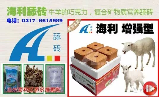 政府允许生二胎,跟畜牧饲料行业有关系吗?