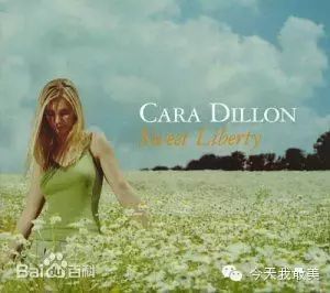 令人沉醉的美丽的Cara Dillon!