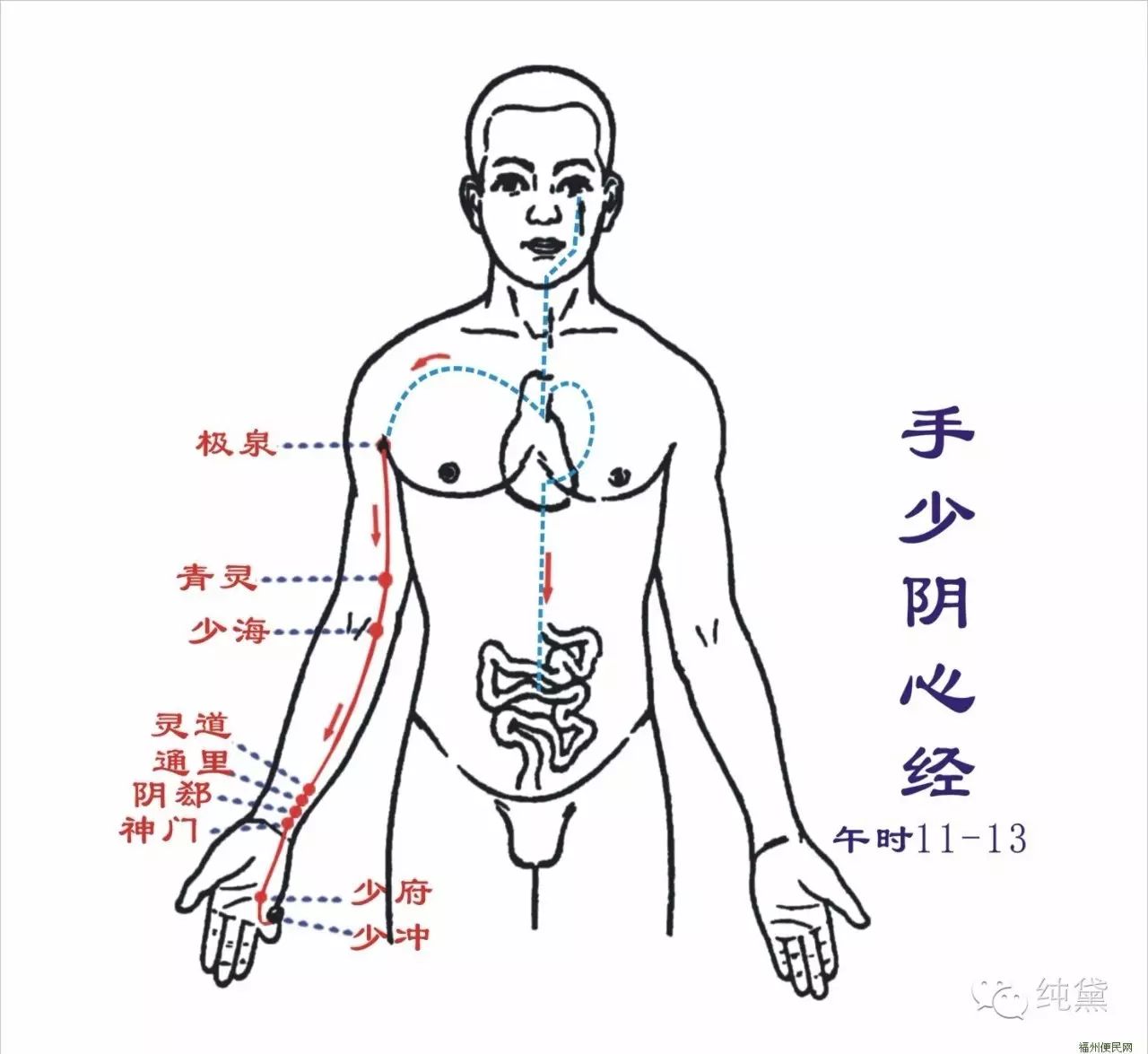 14条经络养生,真的调对了吗?