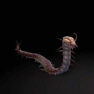 《玩转玛法》最终篇 | 法师诱惑之光揭秘 · 传奇永恒