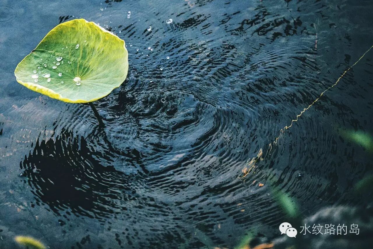 顺产就像一场马拉松(一胎剖二胎顺)-怀孕期