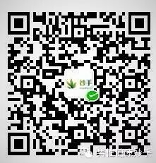 10个一击必中的怀孕秘诀!-怀孕期