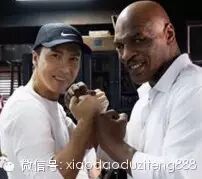 甄子丹大战 拳王泰森,牛炸天了!