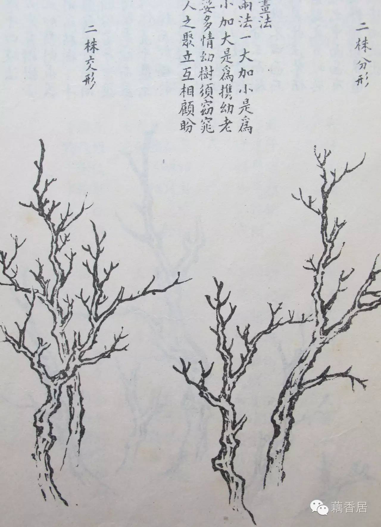 《芥子园画谱》受当时条件限制,刻印效果远不及绘画原作,不能正确