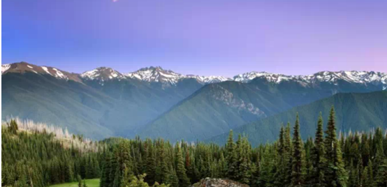 中国饮料行业分析