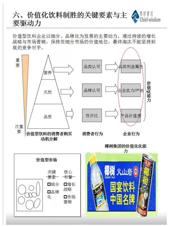 中国饮料行业分析