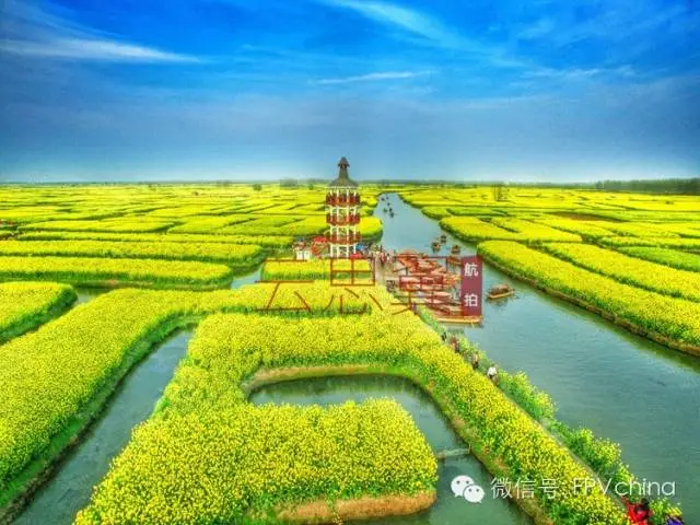 云思翼航拍,带你领略兴化花海秘境