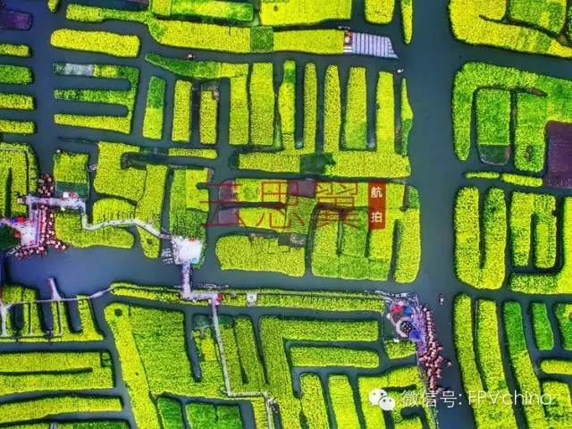 云思翼航拍,带你领略兴化花海秘境