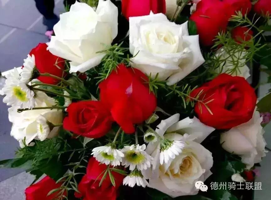 外面的世界 齐秦TXT曲谱