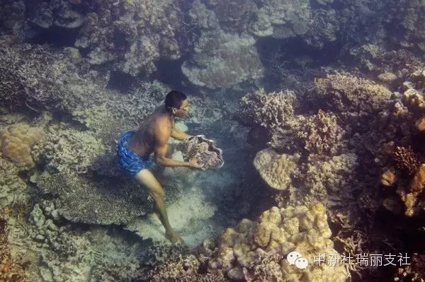 缅甸吉卜赛人 摩根族的海上半游牧生活 - 南加缅华联谊会 - 南加州缅华联谊会主办 缅甸吉卜赛人 摩根族的海上半游牧生活 - 南加缅华联谊会 - 南加州缅华联谊会主办