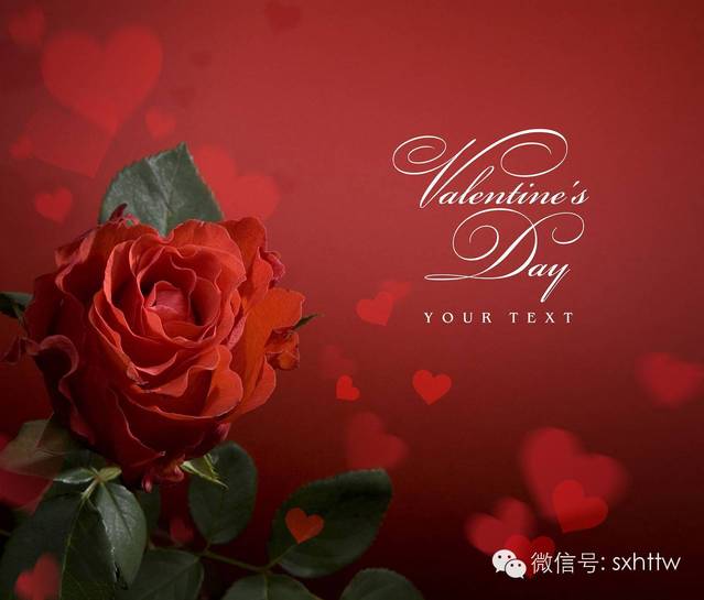 恒泰同吾典当行—【经典老歌:Bette Midler《The Rose》...