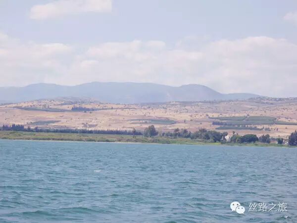 【荣耀见证】身边的奇迹——不可思议的怀孕生子-怀孕期