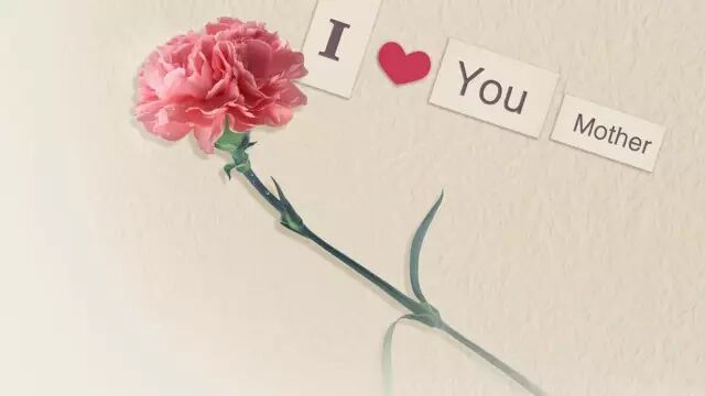 天天养生：母亲节致美君，煽情一点又何妨