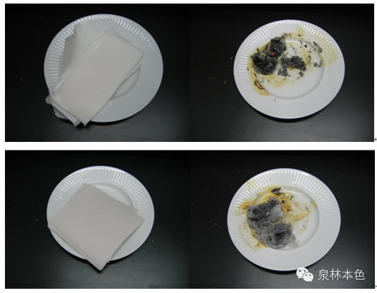 燃烧——不是判断卫生纸质量好坏的科学方法