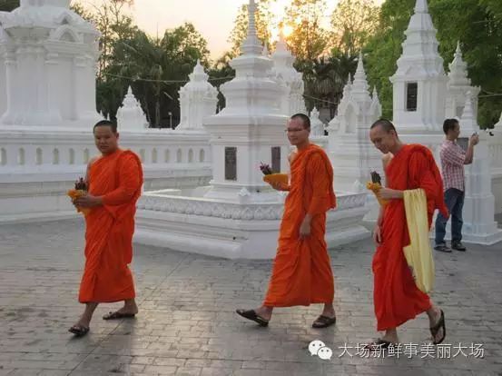 我的泰國初行（自由行之 曼穀，清邁，甲米）