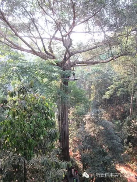 我的泰國初行（自由行之 曼穀，清邁，甲米）