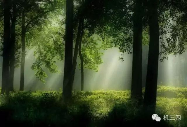 【10.13熄灯曲】Sound of Silence - Paul Simon