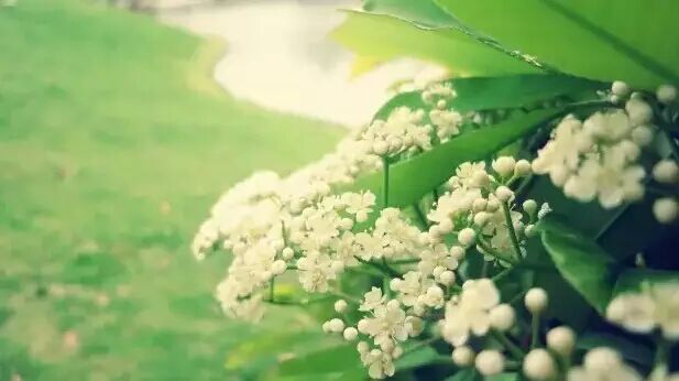 武汉街头,走着走着就怀孕了!-怀孕期