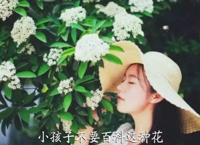 武汉街头,走着走着就怀孕了!-怀孕期